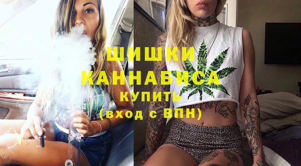 гидра Богданович