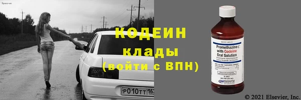 гидра Богданович