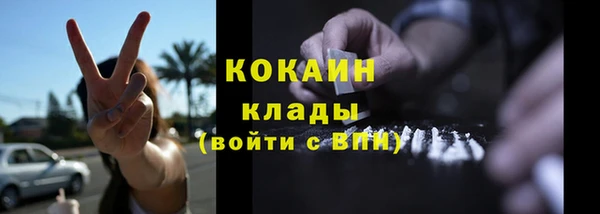 гидра Богданович