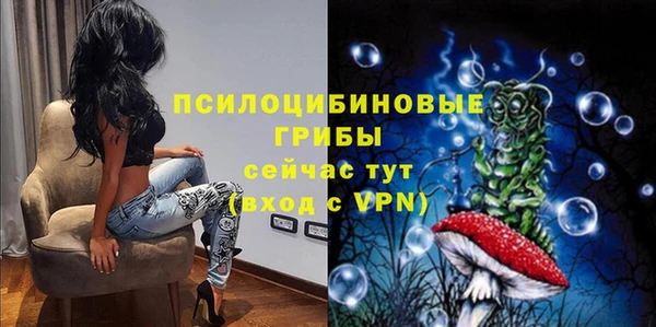 гидра Богданович