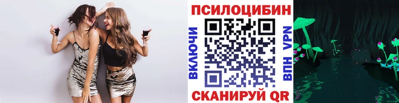 магазин продажи   Вятские Поляны  Псилоцибиновые грибы прущие грибы 